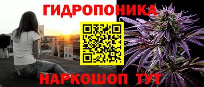 трава Гай