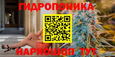 трава Гай