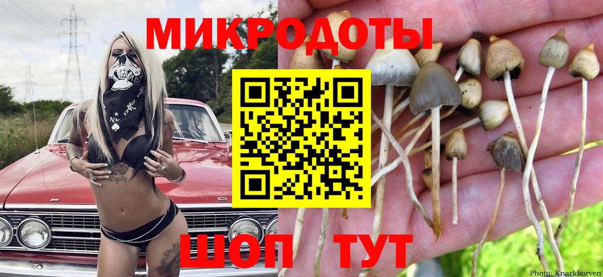 Псилоцибиновые грибы MAGIC MUSHROOMS  Вход с VPN  наркошоп  Брянск  Псилоцибиновые грибы Cubensis 