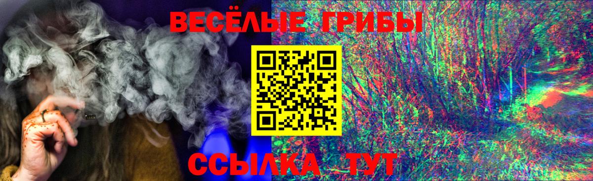 Галлюциногенные грибы прущие грибы Брянск