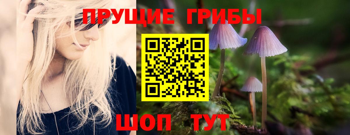 Канабис  МЕФ  ГАШ  МДМА  APVP СК   Брянск  Вход с VPN  Меф кристаллы  LSD-25 